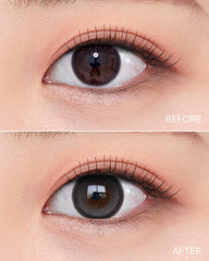 OLENS Big Glowy 1-Day Gray