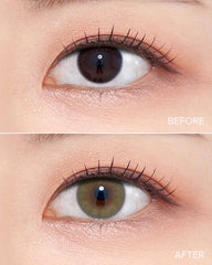 Olens 1-Day French Shine Olive (10 Pack)