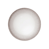 NEO Natural Monet Gray Toric Colored Contact Lenses 6 months disposable (1 Lens)
