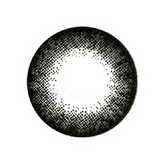 NEO Extra Dali Toric Black Colored Contact Lenses 6 months disposable (1 Pack)