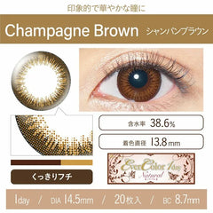 EverColor 1 Day 1 Day Color Contact lenses Natural Champagne Brown (20 Pack)