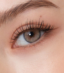 Olens Nella 1Day Ash Beige Colored Contact Lenses (10p)