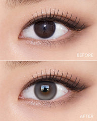 OLENS 1-Day Muse Shine Gray (10 Pack)