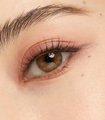 OLENS 1 Day French Gold 3con Hazel (10 Pack)