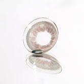 Lenstown 1-Day 247 With MeGray (10 Pack)