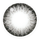 Lenstown Bani2 Gray Monthly Contact Lenses (1 Pack)