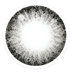 Lenstown Bani2 Gray Monthly Contact Lenses (1 Pack)