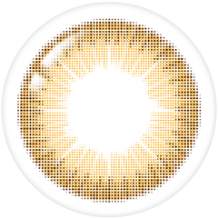 Lenstown Precollege Brown Monthly (1 Pack)