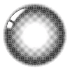 Lenstown 1-Day City of Black Black (10 Pack)