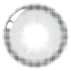 Lenstown Eleva Gray Monthly (2 Pack)