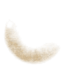 Lenstown Joy Brown Nude Brown Monthly Contact Lens (2 Pack)