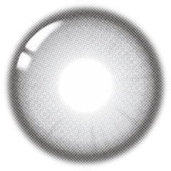 Lenstown It's Me Coco Gray Monthly (2 Pack)