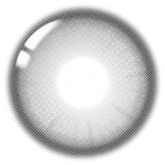 Lenstown It's Me Grande Coco Gray Monthly (2 Pack)