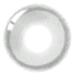 Lenstown 3Con Beloved Gray Monthly (2 Pack)