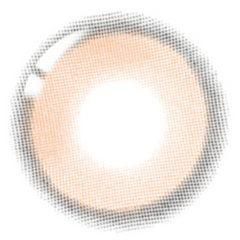 Lenstown Beloved Water Brown Monthly (2 Pack)