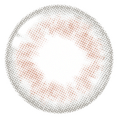 Lenstown 1-Day 247 With MeGray (10 Pack)