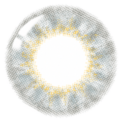 Lenstown 1-Day Lighly Fantasy Gray (20p)