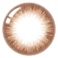 Lenstown Lighly Classic 1-Day Disposable Brown (20 Pack)