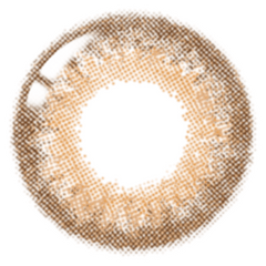 Lenstown 1-Day 247 Diary Brown (10 Pack)