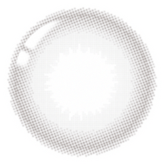 Lenstown Elly Basic Gray Monthly (1 Pack)