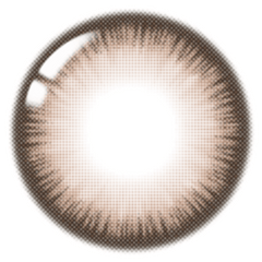 Lenstown Scotch 3color Brown (2 Pack)