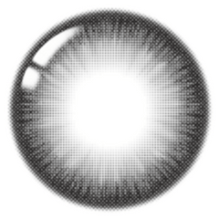 Lenstown Scotch 3color Black (2 Pack)