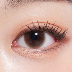 Lenstown Precollege Brown Monthly (1 Pack)