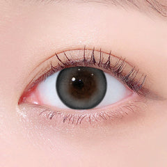 Lenstown 1-Day 247 Bom Gray (10 Pack)