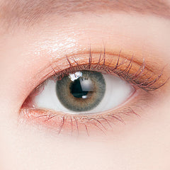 Lenstown Romantea London 1-Day Gray (10 Pack)