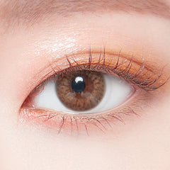 Lenstown 1-Day Lighly Pure Brown (20 Pack)