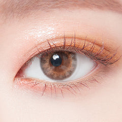 Lenstown 1-Day Lighly Fantasy Brown (20p)