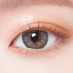 Lenstown 247 Fit 1-Day Gray (10 Pack)