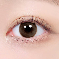 Lenstown 1-Day Chocolato Choco Brown (10 Pack)