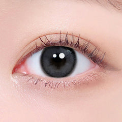 Lenstown Eleva Gray Monthly (2 Pack)