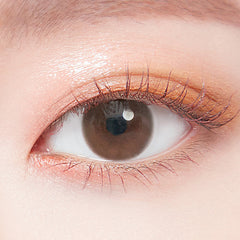 Lenstown Elly Basic Brown Monthly (1 Pack)