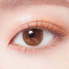 Lenstown Chocopong Milk Choco Color Contacts Monthly (2p)